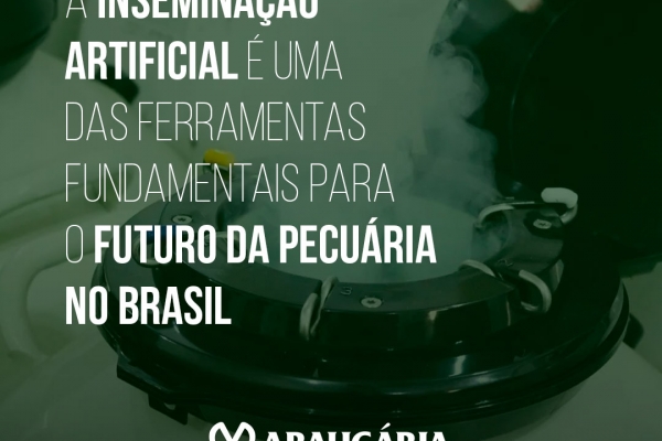 Produção de sêmen bovino cresce 36% em 2020, diz Asbia