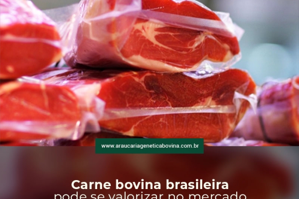 Carne bovina brasileira pode se valorizar no mercado externo após parecer da OIE