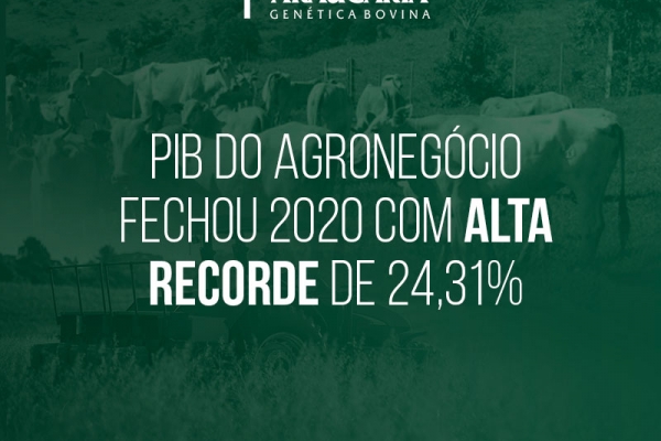  PIB do agronegócio fechou 2020 com alta recorde de 24,31%