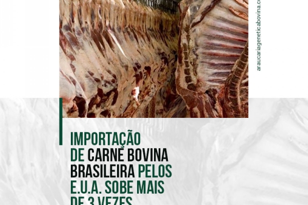 A importação de carne bovina brasileira pelos EUA aumentou mais de 3 vezes na parcial de 2021, até agosto, comparado ao mesmo período de 2020.