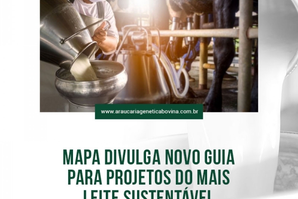  Mapa divulga novo guia para projetos do Mais Leite Saudável
