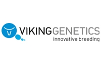 Logo Viking