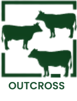 OUTCROSS