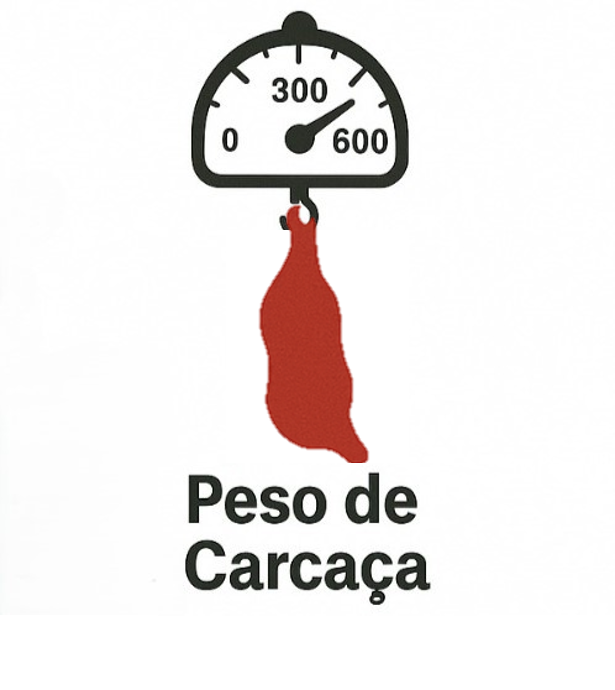 Peso de carcaca