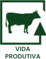 VIDA PRODUTIVA